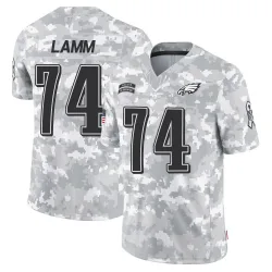 Men's Kendall Lamm Philadelphia Eagles No.74 Limited 2024 Salute to Service Jersey - Arctic Camo