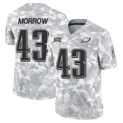 Men's Nicholas Morrow Philadelphia Eagles No.43 Limited 2024 Salute to Service Jersey - Arctic Camo